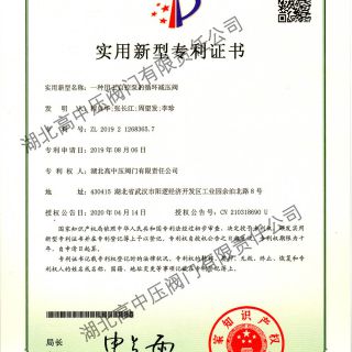 一種用于自控泵的循環(huán)減壓閥